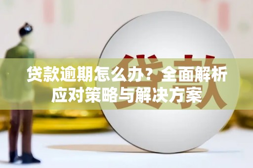 振兴贷款逾期怎么办？全面解析应对策略与解决方案