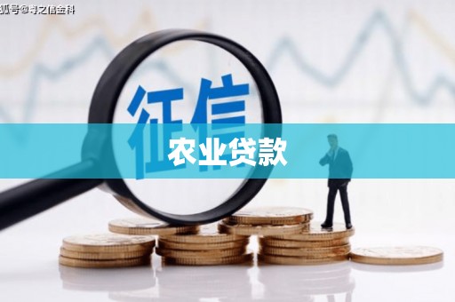 振兴农业贷款