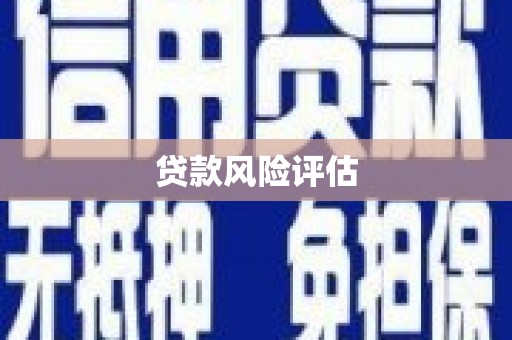 振兴贷款风险评估