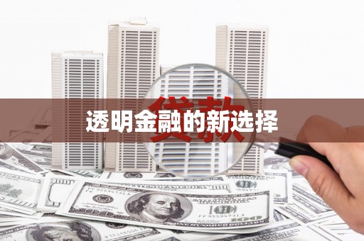 振兴透明金融的新选择