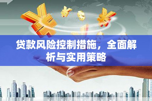 振兴贷款风险控制措施，全面解析与实用策略