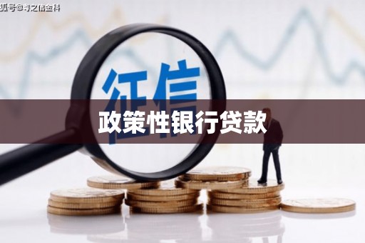 振兴政策性银行贷款