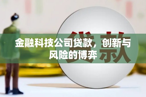 振兴金融科技公司贷款，创新与风险的博弈