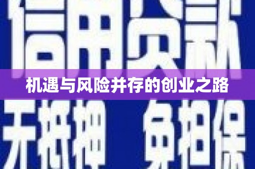 振兴机遇与风险并存的创业之路