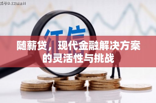 振兴随薪贷，现代金融解决方案的灵活性与挑战
