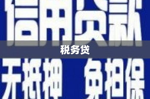 振兴税务贷