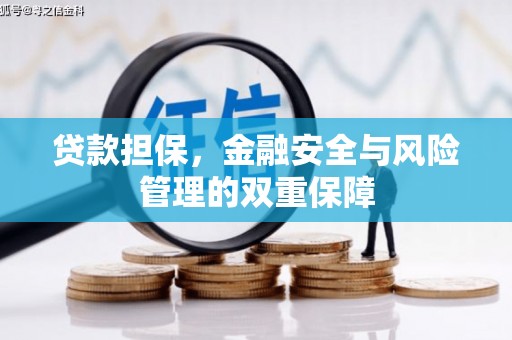振兴贷款担保，金融安全与风险管理的双重保障