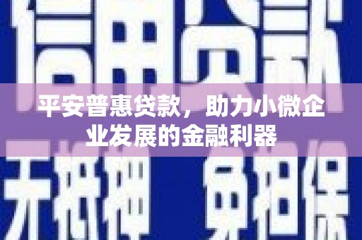 振兴平安普惠贷款，助力小微企业发展的金融利器