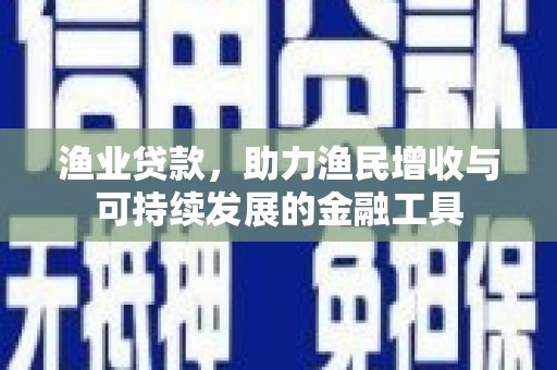 振兴渔业贷款，助力渔民增收与可持续发展的金融工具