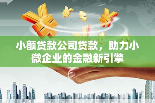 振兴小额贷款公司贷款，助力小微企业的金融新引擎