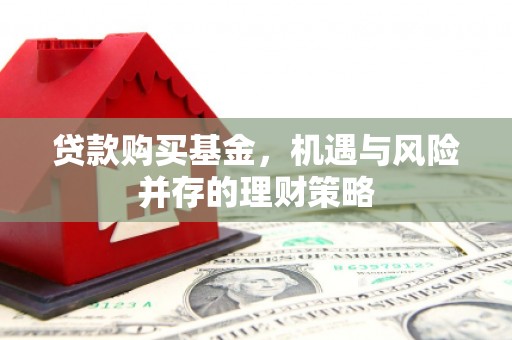 振兴贷款购买基金，机遇与风险并存的理财策略