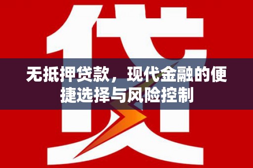 振兴无抵押贷款，现代金融的便捷选择与风险控制