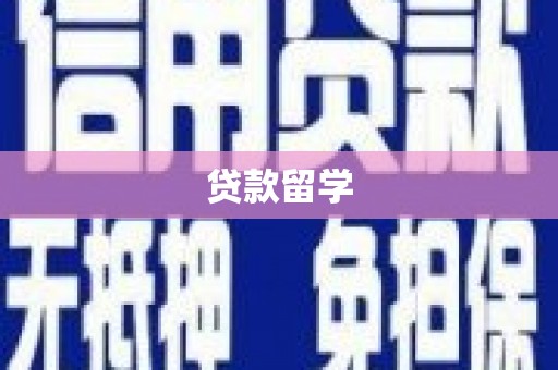 振兴贷款留学