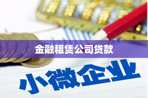 振兴金融租赁公司贷款