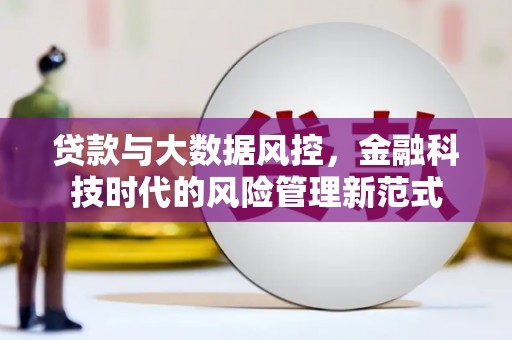 振兴贷款与大数据风控，金融科技时代的风险管理新范式