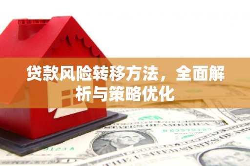 振兴贷款风险转移方法，全面解析与策略优化