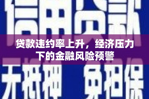 振兴贷款违约率上升，经济压力下的金融风险预警