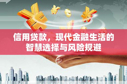 振兴信用贷款，现代金融生活的智慧选择与风险规避