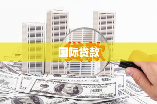 振兴国际贷款