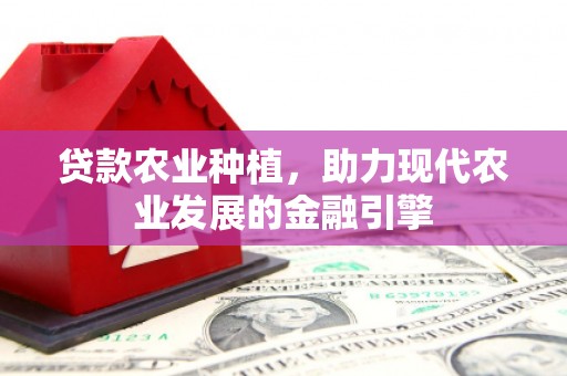 振兴贷款农业种植，助力现代农业发展的金融引擎
