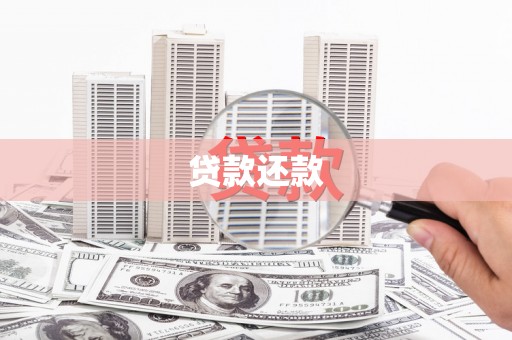 振兴贷款还款