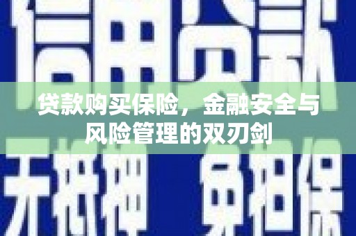 振兴贷款购买保险，金融安全与风险管理的双刃剑