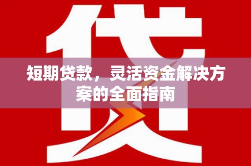 振兴短期贷款，灵活资金解决方案的全面指南