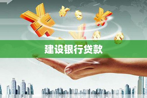 振兴建设银行贷款