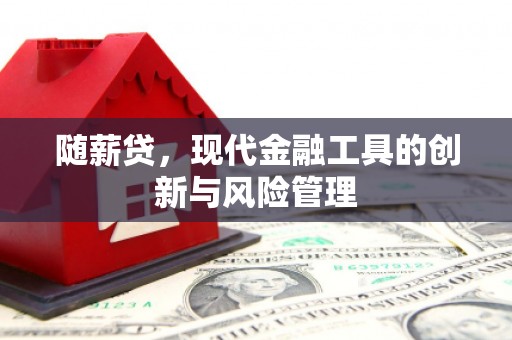 振兴随薪贷，现代金融工具的创新与风险管理
