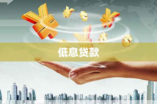 振兴低息贷款