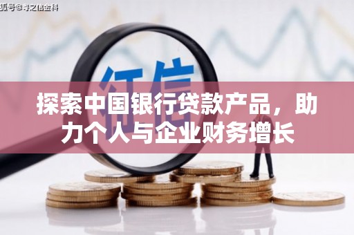 振兴探索中国银行贷款产品，助力个人与企业财务增长