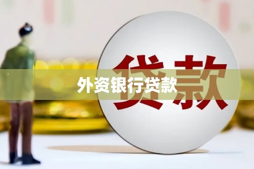 振兴外资银行贷款