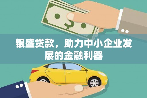 振兴银盛贷款，助力中小企业发展的金融利器