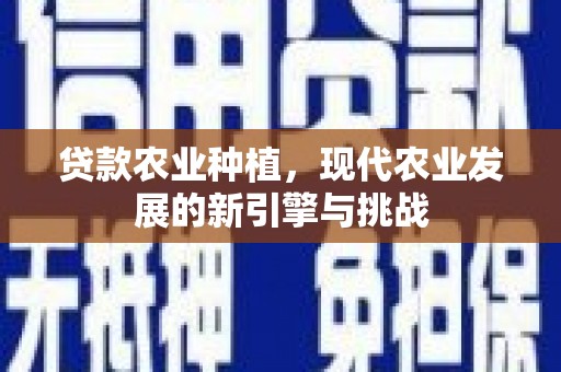 振兴贷款农业种植，现代农业发展的新引擎与挑战