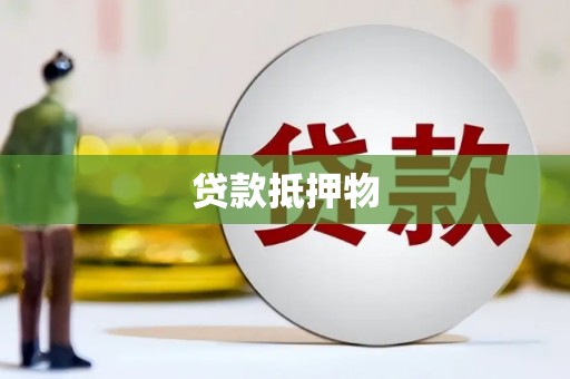 振兴贷款抵押物