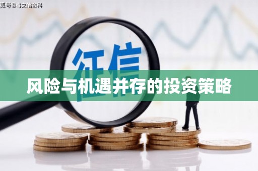 振兴风险与机遇并存的投资策略