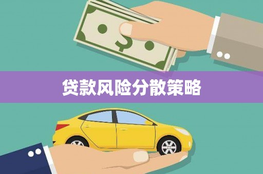 振兴贷款风险分散策略