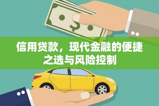 振兴信用贷款，现代金融的便捷之选与风险控制