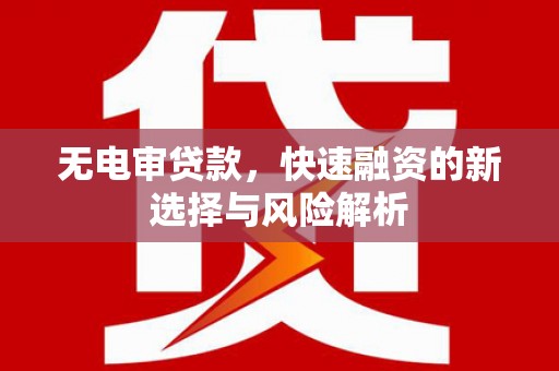 振兴无电审贷款，快速融资的新选择与风险解析