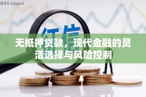 振兴无抵押贷款，现代金融的灵活选择与风险控制