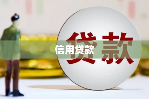 振兴信用贷款