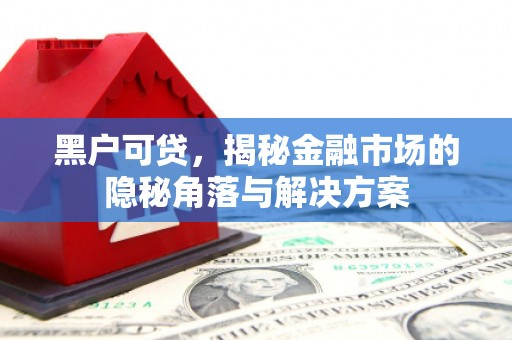 振兴黑户可贷，揭秘金融市场的隐秘角落与解决方案