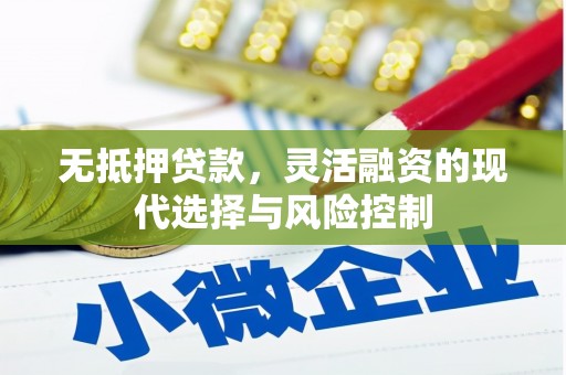 振兴无抵押贷款，灵活融资的现代选择与风险控制