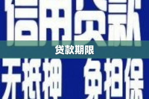 振兴贷款期限