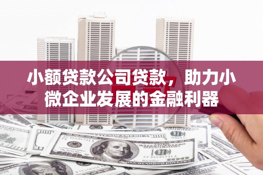 振兴小额贷款公司贷款，助力小微企业发展的金融利器
