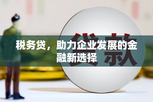振兴税务贷，助力企业发展的金融新选择