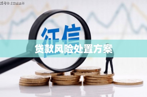 振兴贷款风险处置方案
