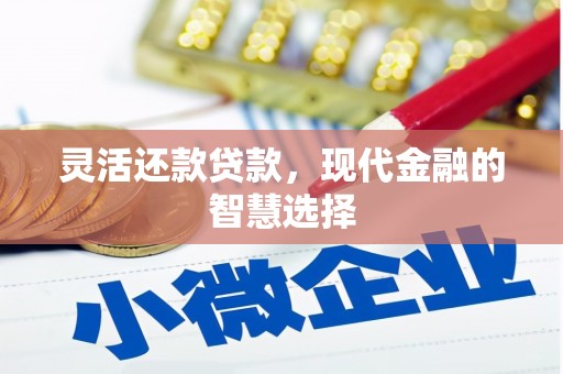 振兴灵活还款贷款，现代金融的智慧选择