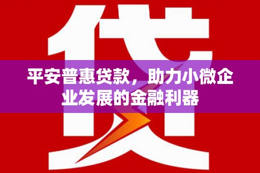 振兴平安普惠贷款，助力小微企业发展的金融利器