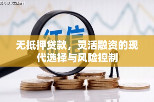振兴无抵押贷款，灵活融资的现代选择与风险控制